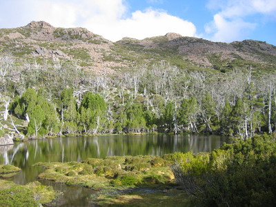 Tasmanie