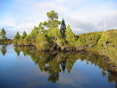 Tasmanie