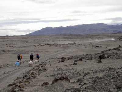 Les remorques en Islande