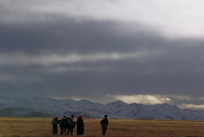 steppes d'altitude, Tibet