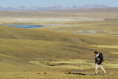 Tibet, plateau du Chang Tang