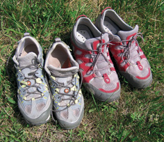 merrel-TNF_br merrel-TNF_br