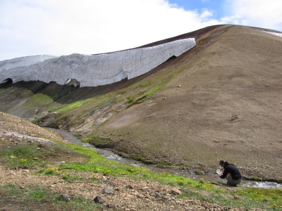 Trek Landmannalaugar : on trouve de nombreuses rivières dans lesquelles nous avons puisé notre eau lors de ce trek