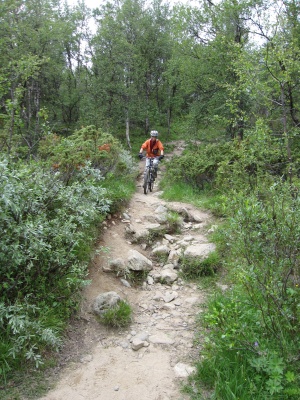 Les vastes étendues du parc du Dovrefjell. Certaines sentiers sont vraiment super à VTT comme ici (descente sur Kongsvoll)