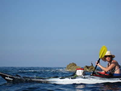 Cohabitation des diverses espèces marines.