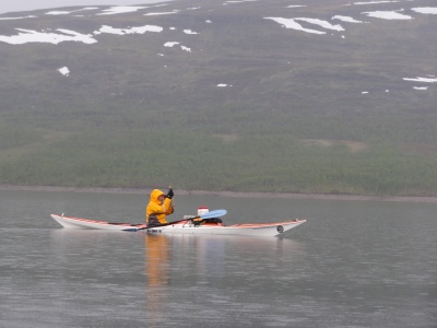 Goltziana Marlin : en Norvège