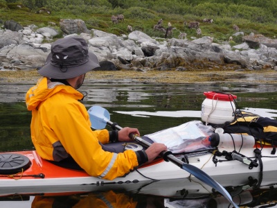 Goltziana Marlin : test en Norvège, des rennes