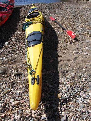 Barracuda prijon Barracuda