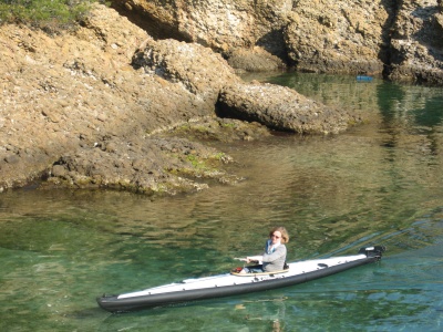 Nautiraid Greenlander (photo Karl Berson)