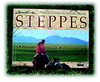 Carnets de steppes, couverture du livre