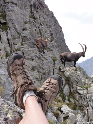 Chaussures Hanwag Pista, Mercantour arête du Basto