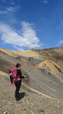 Terrain varié en Islande