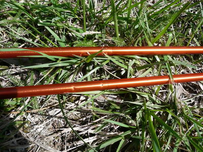 Batons ultralégers pliables Camp Xenon 