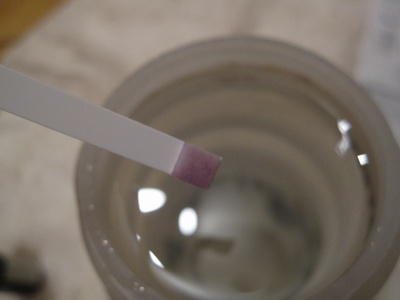 Test avec les bâtonnets, la coloration violette indique que l'eau à traiter est suffisament chargée en chlore pour que le traitement soit efficace Test avec les bâtonnets, la coloration violette indique que l'eau à traiter est suffisament chargée en chlore pour que le traitement soit efficace
