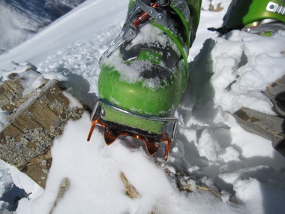 Crampons Race 290