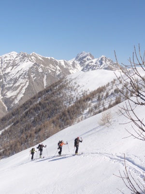 Peaux de ski de rando sans colle