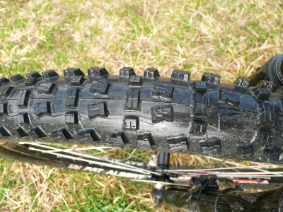 Pneu Schwalbe Fat Albert (avant)