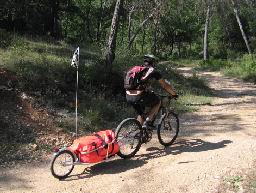 http://www.expemag.com/images/materiel/velo/remorques/TWBent/TW-Bent_02.jpg
