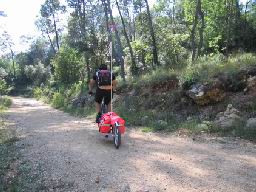 http://www.expemag.com/images/materiel/velo/remorques/TWBent/TW-Bent_05.JPG
