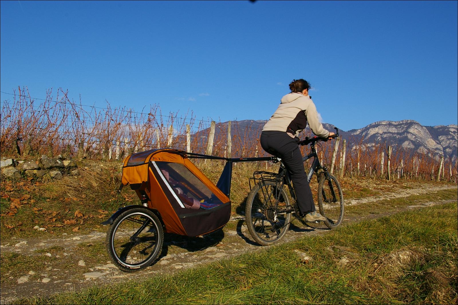 Remorque vélo enfant mono-roue Tout-terrain Single Trailer