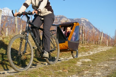 Remorque vélo enfant mono-roue Tout-terrain Single Trailer