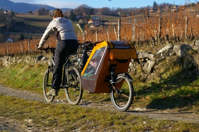 Remorque vélo enfant mono-roue Tout-terrain Single Trailer