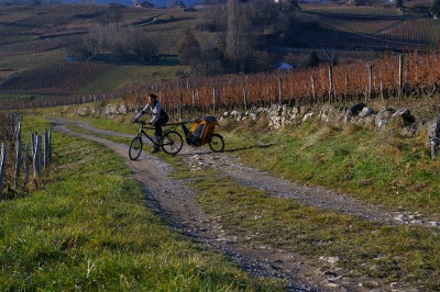 Remorque vélo enfant mono-roue Tout-terrain Single Trailer