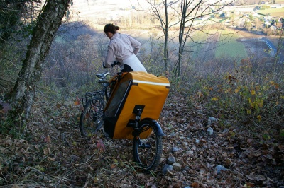 Remorque vélo enfant mono-roue Tout-terrain Single Trailer