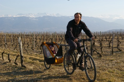 Remorque vélo enfant mono-roue Tout-terrain Single Trailer