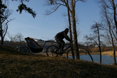 Remorque vélo enfant mono-roue Tout-terrain Single Trailer