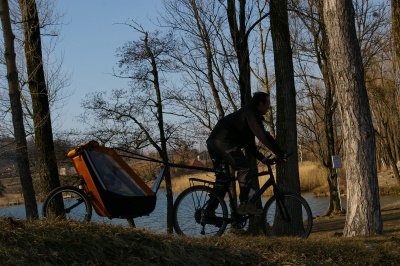 Remorque vélo enfant mono-roue Tout-terrain Single Trailer