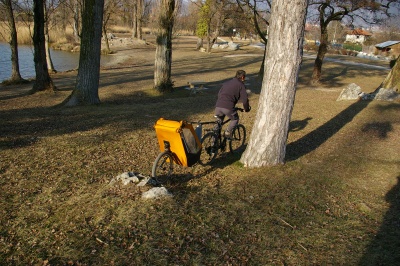 Remorque vélo enfant mono-roue Tout-terrain Single Trailer