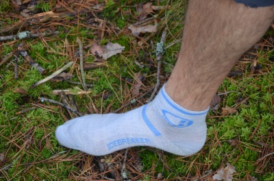 Chaussettes ultralégères Icebreaker