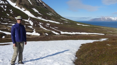 Islande, fjords du nord