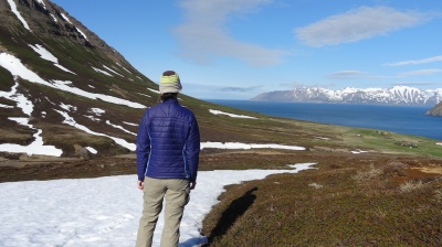 Islande, fjords du nord