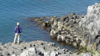 Islande, fjords du nord, orgues de basalte