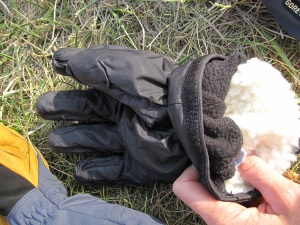 Gants Black Diamond Guide :  le sous gant