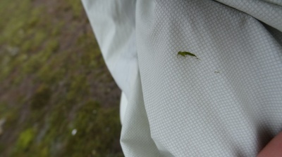 Petite entaille sur une fesse (sûrement lors d’une pause assise sur terrain abrasif) réparée aisément avec une petite pastille de tissu ripstop autocollant (pour réparer les parapentes).