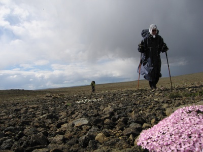 Les Poncho Camp en Islande