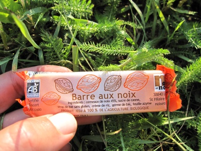 Barre énergétique bio aux noix