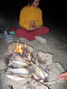 Bivouac au bord du lac de Serre Ponçon et perches pêchées sur place