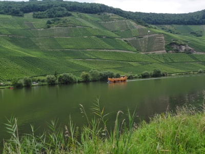 Le long de la Moselle