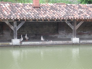 Canal du Midi à vélo en famille