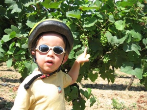 Canal du Midi à vélo en famille