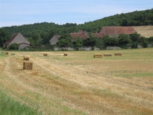 Canal du Nivernais à vélo en famille