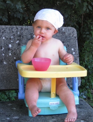 Chaise bébé pliable (1510 g) Chaise bébé pliable (1510 g)