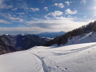 Une trace de chaque peaux