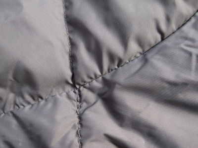 Tissu interne Tissu interne