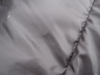 Tissu interne Tissu interne