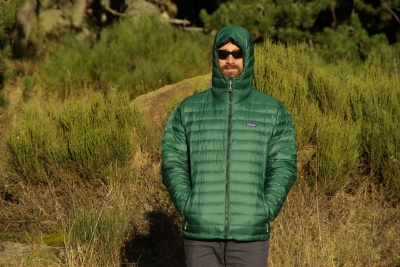 Patagonia Down Sweater Tumble Green